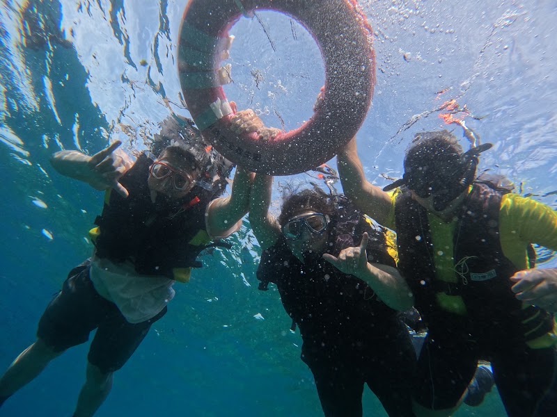 小琉球｜輕旅泡泡潛水度假中心TLB｜浮潛、水肺、SUP、風帆、獨木舟、潛旅、住宿、餐廳、酒吧 - 小琉球｜輕旅泡泡潛水度假中心TLB｜浮潛、水肺、SUP、風帆、獨木舟、潛旅、住宿、餐廳、酒吧 No. 10-29號, Fuxing Rd, Shangfu Village, Liuqiu Township, Pingtung County, Taiwan 929