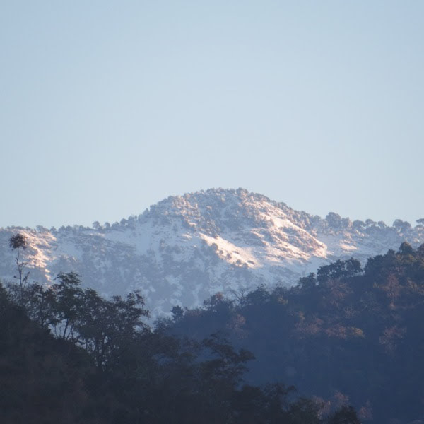 Bird's nest and nature stay - Bird's nest and nature stay, Ashok Verma, Neelkanth Mahadev Temple Road Gauri Kunj, Village Judda, Post Office, near Rishikesh, Maral, Ediya, Uttarakhand 249304, India
