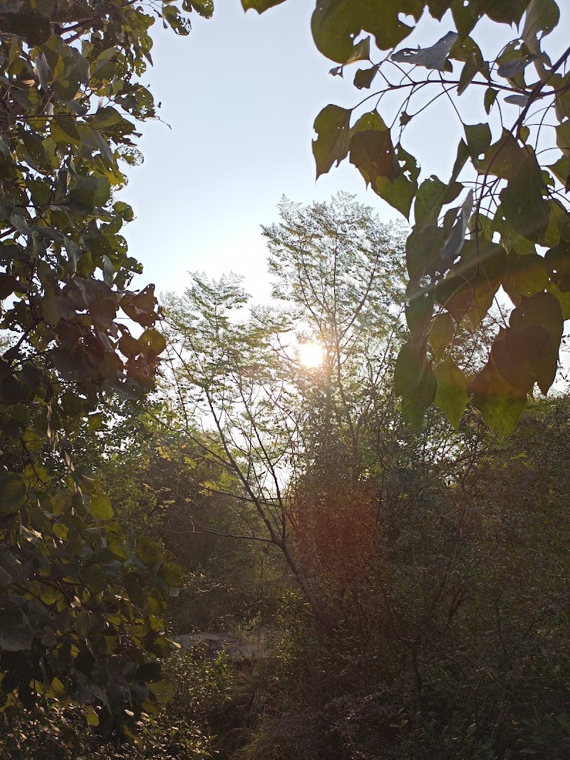 North Point Biodiversity Park Nathupur - North Point Biodiversity Park Nathupur Biodiversity Park, Nathupur, Sector 24, Gurugram, Haryana 122010, India