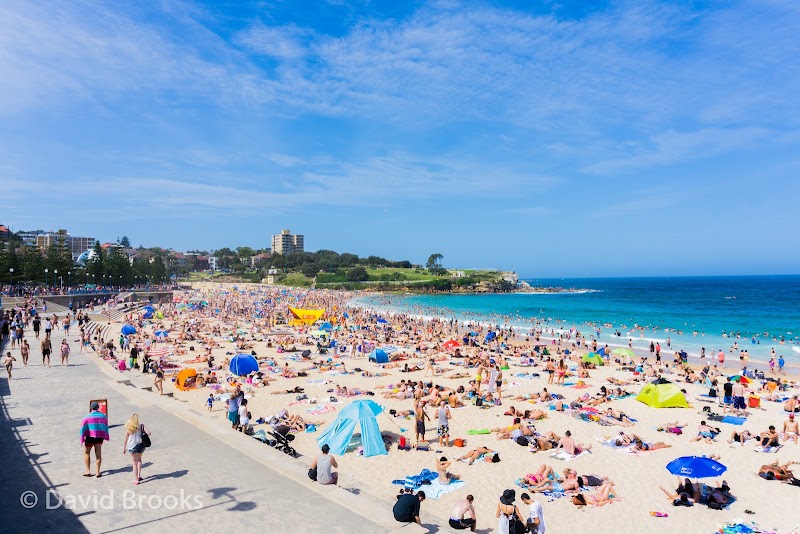 Coogee Beach