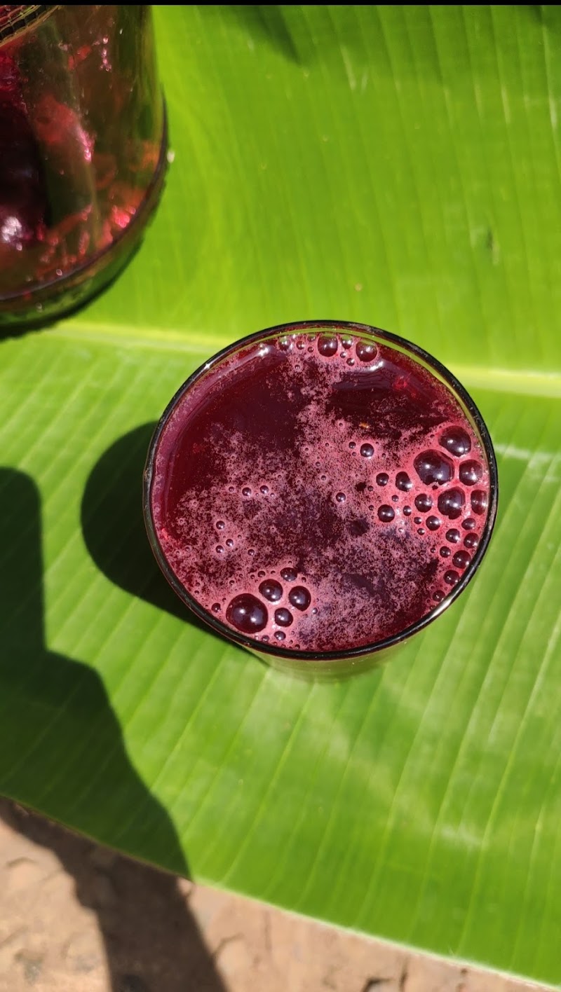 Prabhu Farms:- Blessings in Nature - Prabhu Farms:- Blessings in Nature Galgibag road, Canacona, Poingunin, Goa 403702, India