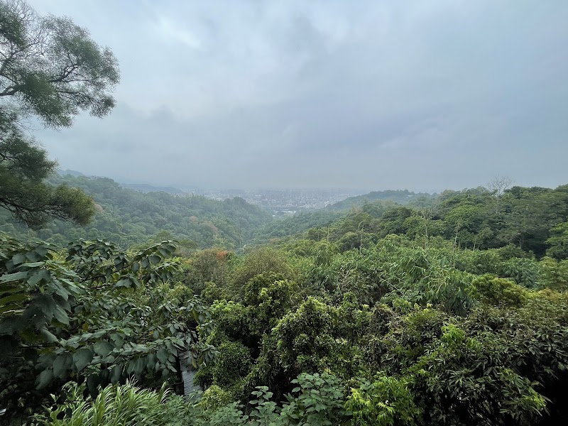 Dakeng Trail No.9-1 - Dakeng Trail No.9-1, Beitun District, Taichung City, Taiwan 406