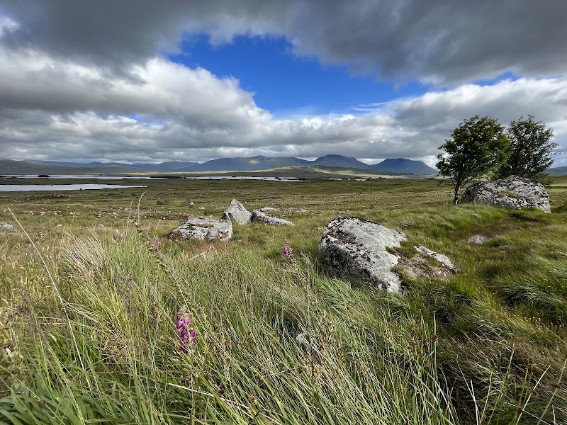 Rannoch Moor Viewpoint