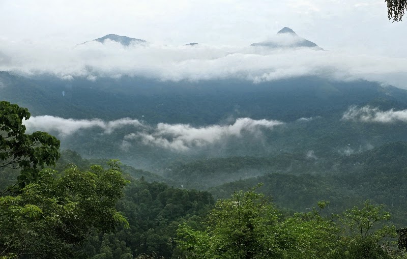 Nature Shade - Nature Shade Vattapathal, Kunnumpuram Road 300, Maryland Rd, Kunchithanny, Anachal, Kerala 685565, India