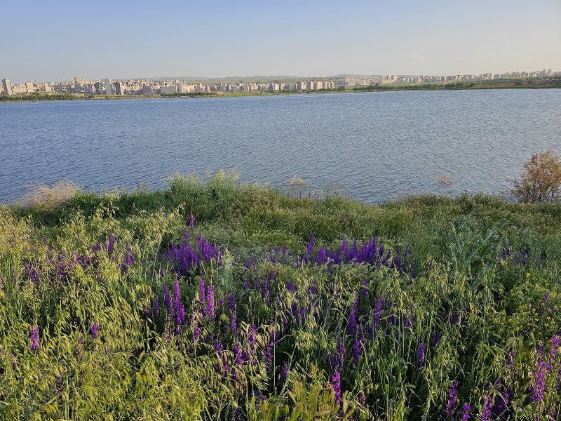 مسیر پیاده‌روی شورابیل - مسیر پیاده‌روی شورابیل, Ardabil Province, Ardabil, Shourabil st, 679M+P7W, Iran