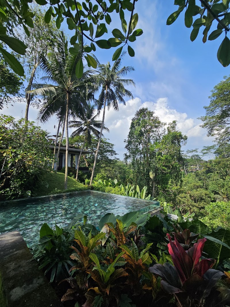 Infinity forest pool - Infinity forest pool, F7PH+3CW, Peliatan, Ubud, Gianyar Regency, Bali 80552, Indonesia