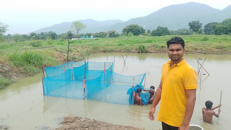 JP FISH AND FISH SEEDS FARM - JP FISH AND FISH SEEDS FARM, Ch, Bhalumunda, Chhatrang, Odisha 767060, India