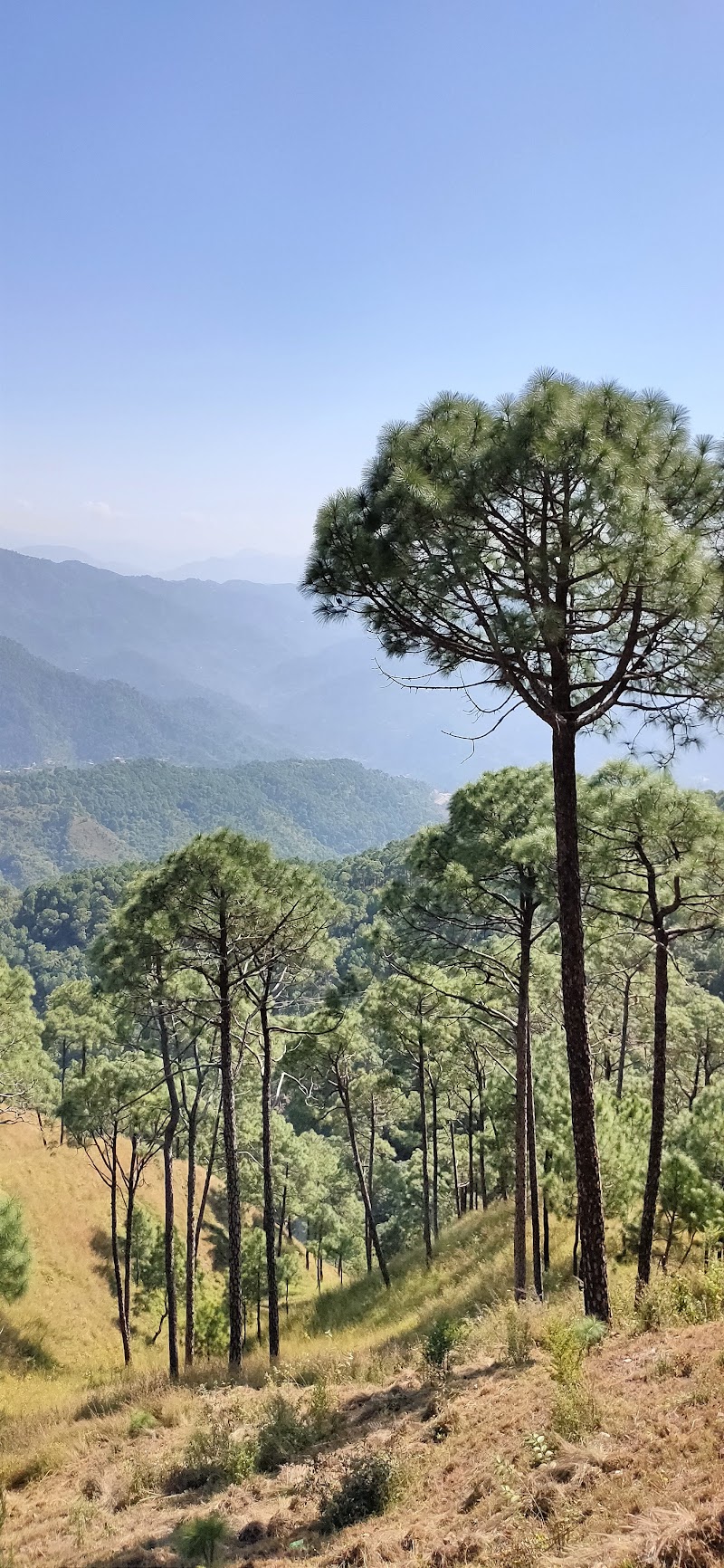 Sunset Point - Sunset Point VXRC+JGR, Kasauli, Himachal Pradesh 173204, India
