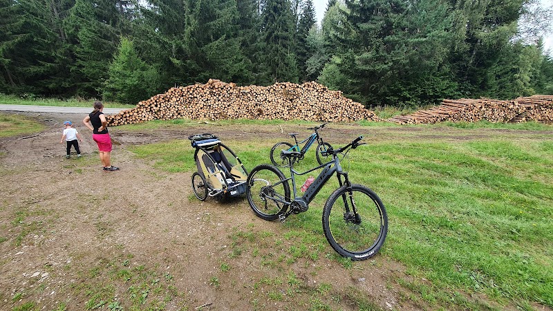 Sport Řezáč - Půjčovna Frymburk - Sport Řezáč - Půjčovna Frymburk, 12 Náměstí, 382 79 Frymburk, Czechia