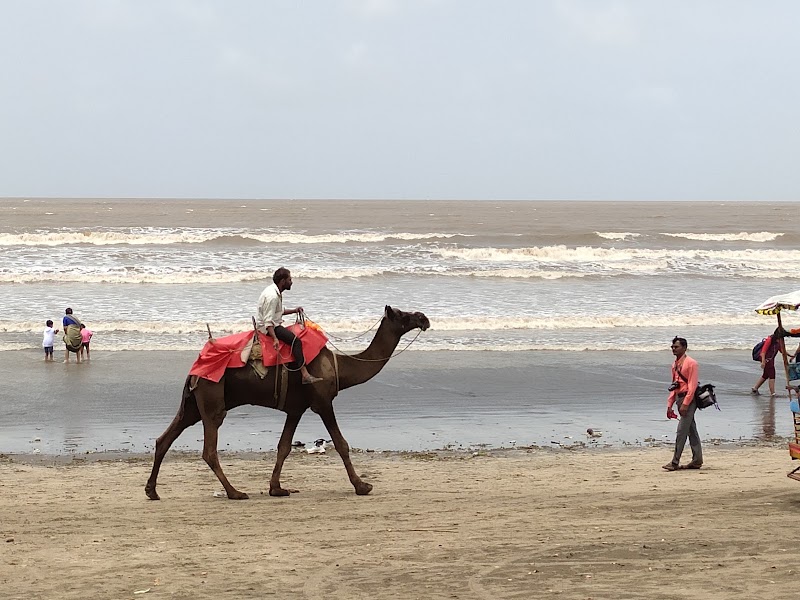 Kelwa Beach - Kelwa Beach, Maharashtra 401401, India
