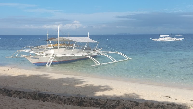 Ecotravelers Travel & Tours Philippines - Ecotravelers Travel & Tours Philippines, Cor Gallares, C. Putong St, Tagbilaran City, 6300 Bohol, Philippines