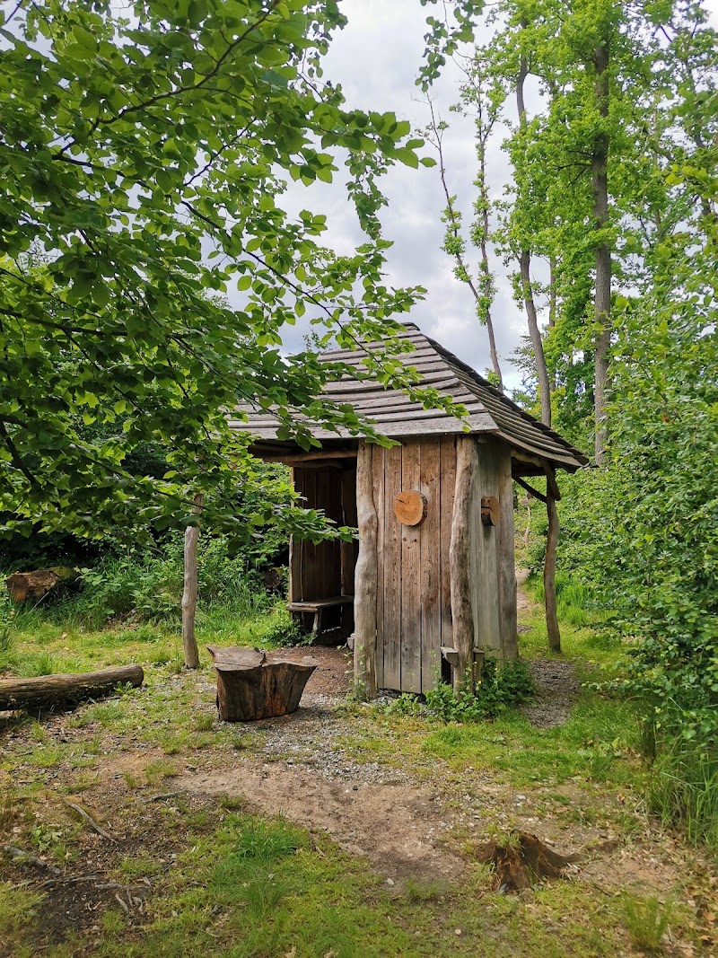 Lynx' Path / Gabriela's Trail - Lynx' Path / Gabriela's Trail 405 02 Hřensko-Děčín 2, Czechia