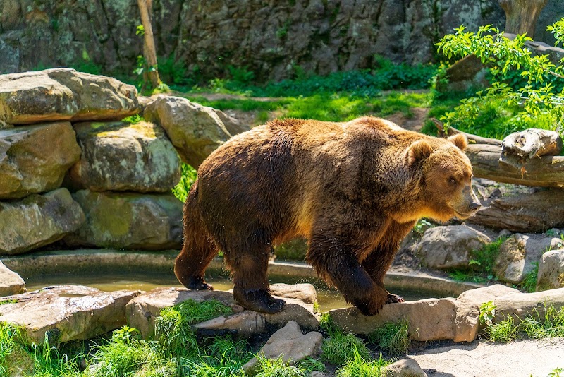 Děčín Zoo - Děčín Zoo, Žižkova 15, 405 02 Děčín-Děčín 2, Czechia