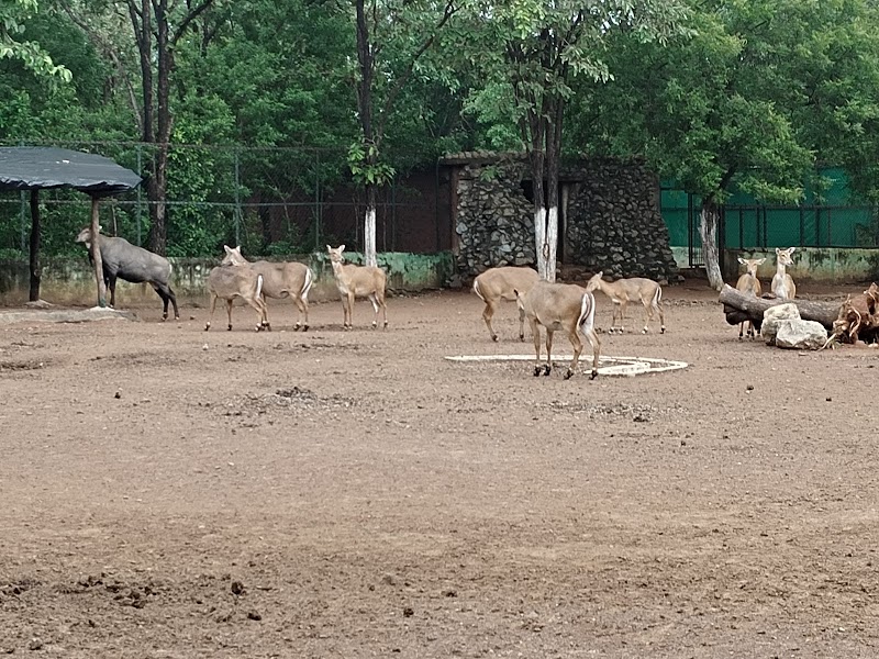 Wild life Sanctuary - Wild life Sanctuary 3QVJ+JHM, Atal Nagar-Nava Raipur, Chhattisgarh 493661, India
