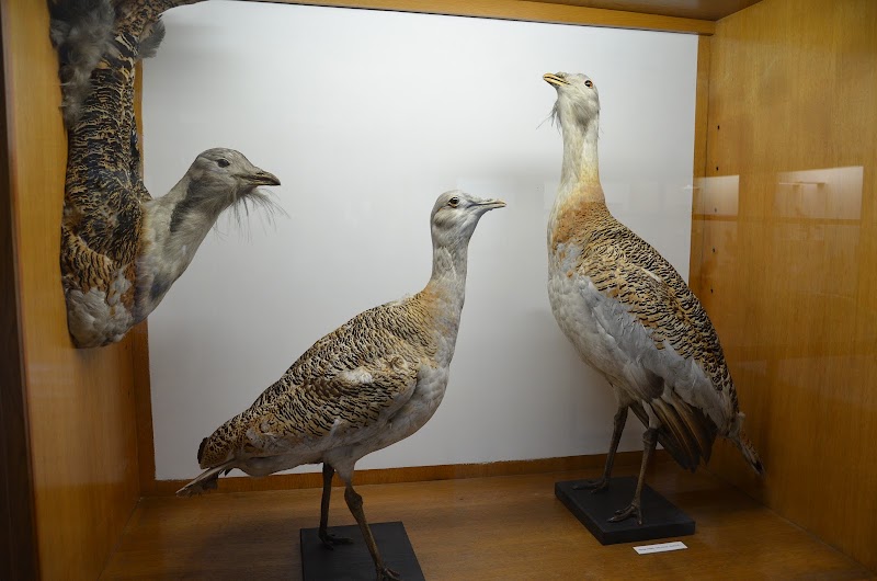 Muzeum lesnictví, myslivosti a rybářství – zámek Ohrada - Muzeum lesnictví, myslivosti a rybářství – zámek Ohrada, Ohrada 17, 373 41 Hluboká nad Vltavou, Czechia