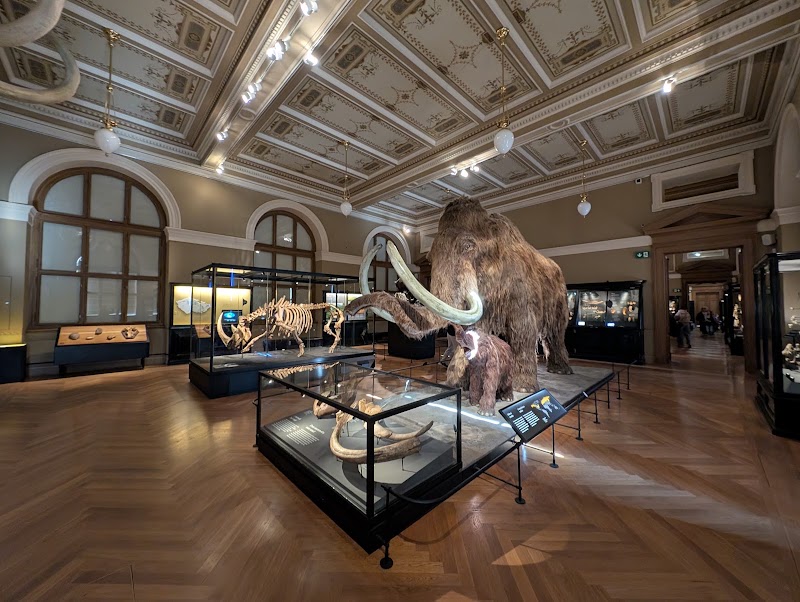 National Museum - National Museum Václavské nám. 68, 110 00 Praha 1-Nové Město, Czechia