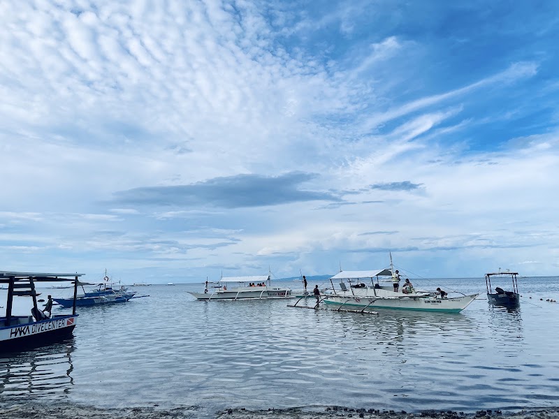 Balicasag Island Public Beach - Balicasag Island Public Beach, Panglao, Bohol, Philippines