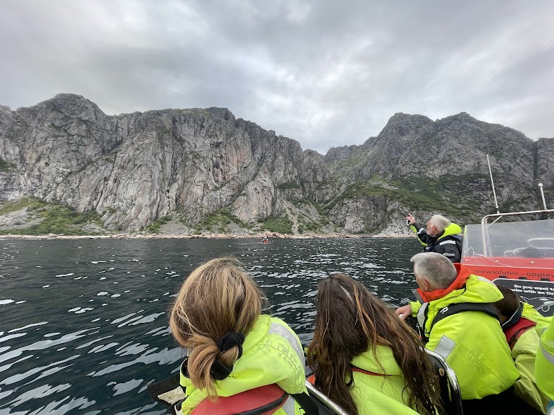 Lofoten Opplevelser - Lofoten Opplevelser Dreyers gate 15, 8312 Henningsvær, Norway
