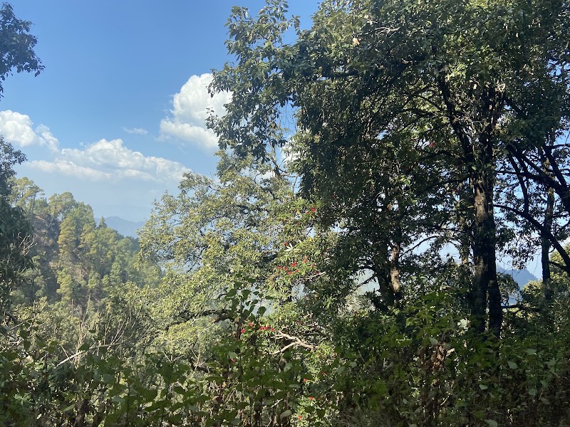 Binsar Wildlife Sanctuary - Binsar Wildlife Sanctuary PQ43+6H4, Binsar, Uttarakhand 263601, India