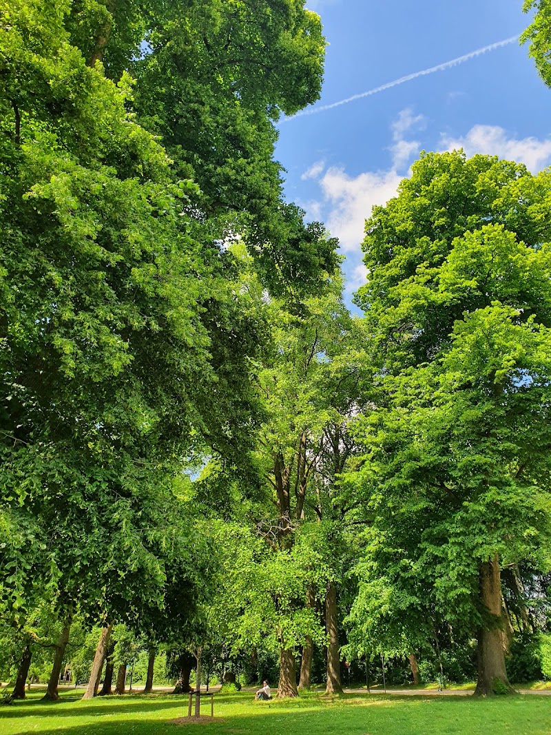 Cambre Woods - Cambre Woods Brussels, Belgium