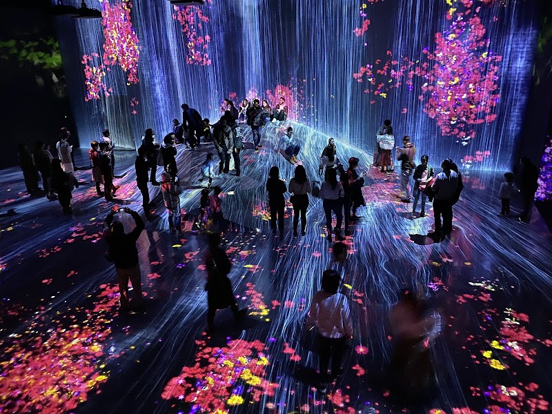 teamLab Borderless: MORI Building DIGITAL ART MUSEUM - teamLab Borderless: MORI Building DIGITAL ART MUSEUM Japan, 〒106-0041 Tokyo, Minato City, Toranomon, 5-chōme−9−９ Azabudai Hills Garden Plaza B, B1