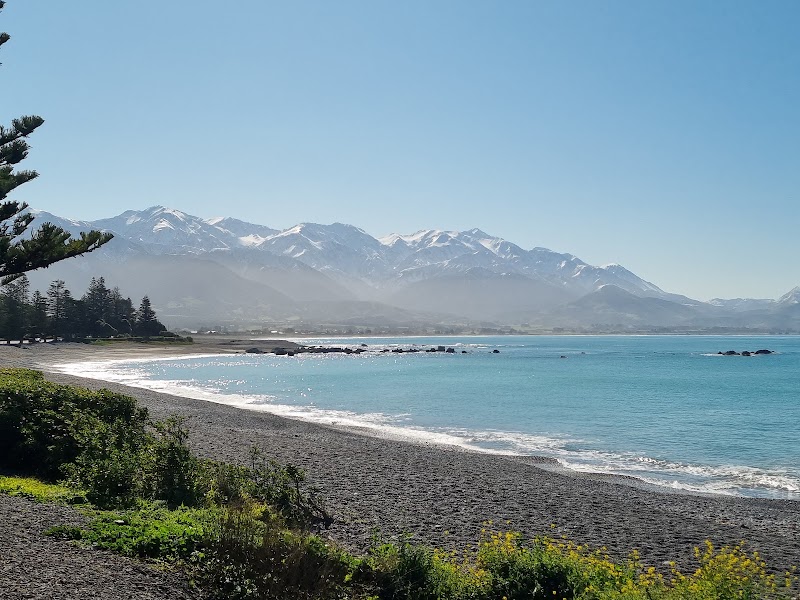 Encounter Kaikoura (Dolphin Encounter) - Encounter Kaikoura (Dolphin Encounter) 96 Esplanade, Kaikōura 7300, New Zealand