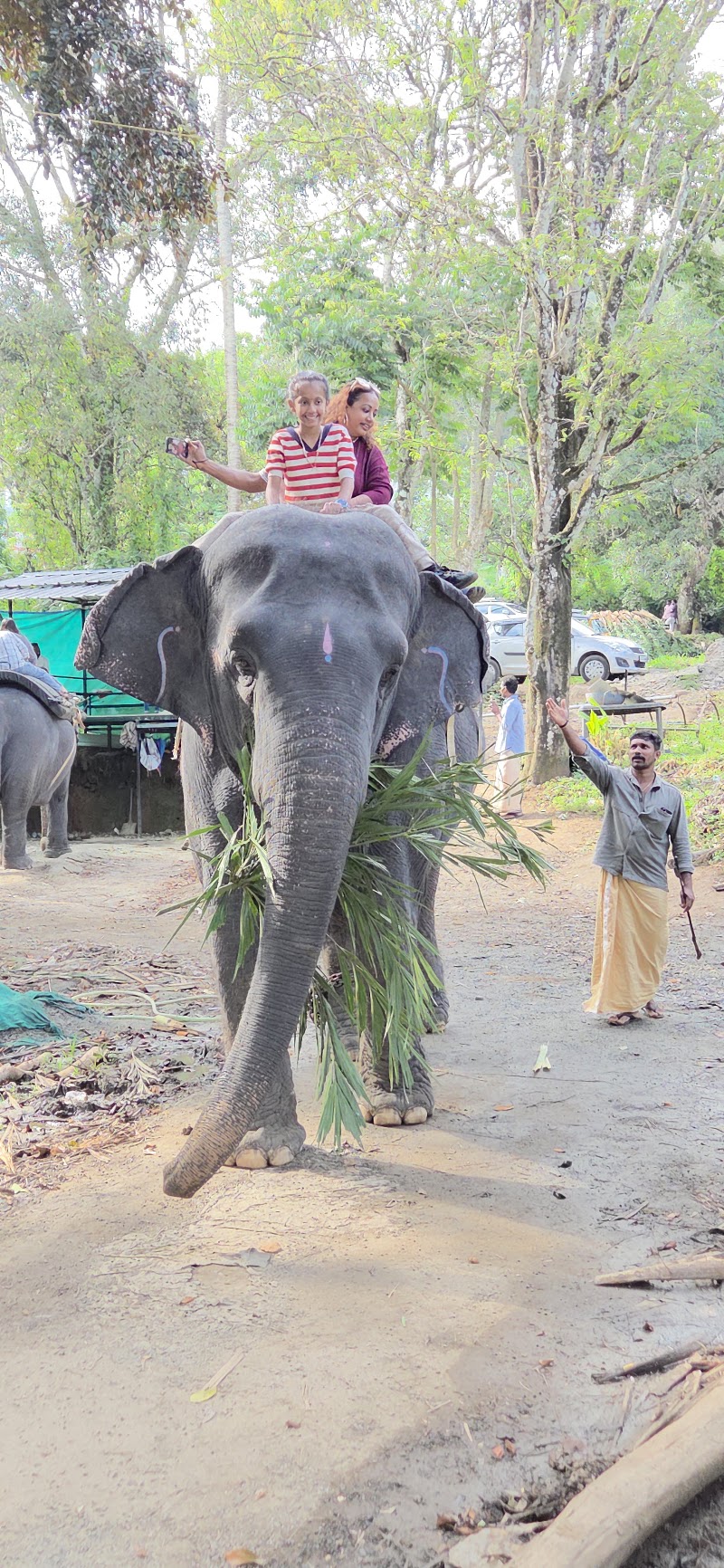 Munnar travel expert cabs - Munnar travel expert cabs Munnar Bypass, Anachal, Kerala 685565, India