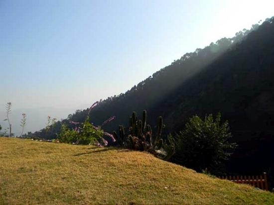 VAYDIC RESORT YOGA RETREAT - VAYDIC RESORT YOGA RETREAT nandoh road, Kasauli, Himachal Pradesh 173204, India