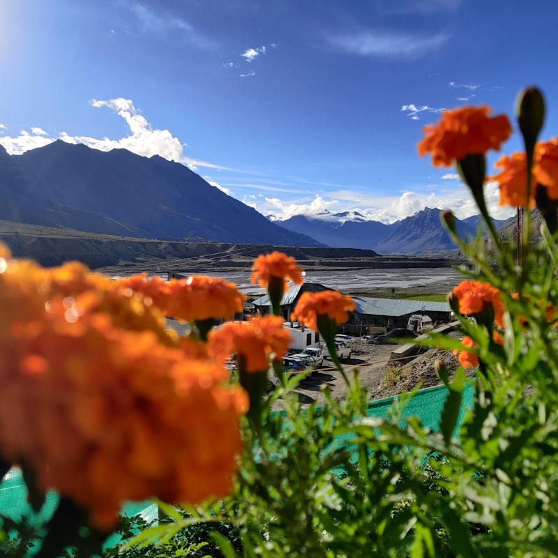 Spiti Diaries | Luxury Hostel in Kaza - Spiti Diaries | Luxury Hostel in Kaza near eco community center, Kaza, Kaza Khas, Himachal Pradesh 172114, India