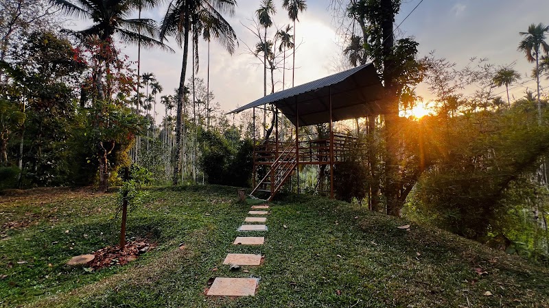 Wayanad Coffee Vintage - Wayanad Coffee Vintage P4W9+GV, Nadavayal, Kerala 670721, India