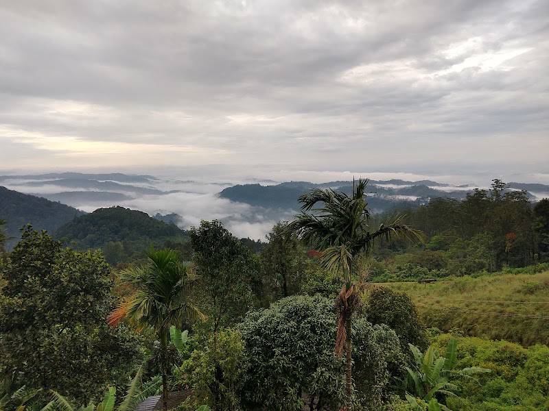 Pipeline view point. - Pipeline view point. 22VW+PG5, Munnar - Aluva Rd, Keralam 685565, India