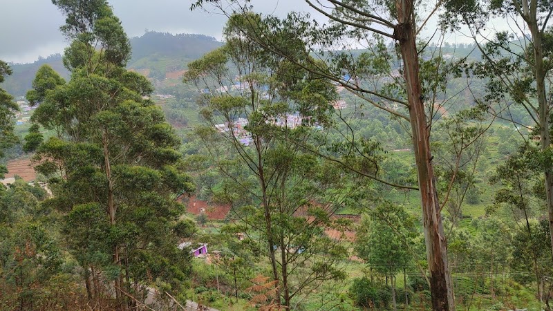 Nilgiri Mountain Railways - Nilgiri Mountain Railways 8QHV+FV9, NH 181, Glendale, Huligal, Tamil Nadu 643102, India
