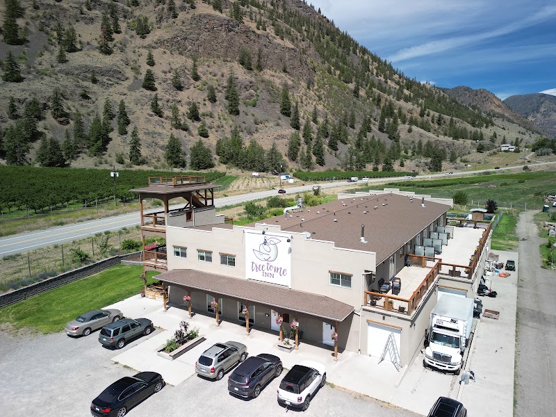 Tree To Me Organics - Tree To Me Organics 1217 Hwy 3A, Keremeos, BC V0X 1N4, Canada