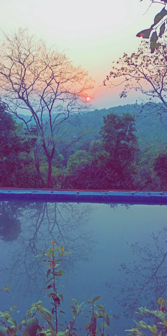 Prabhu Farms:- Blessings in Nature - Prabhu Farms:- Blessings in Nature Galgibag road, Canacona, Poingunin, Goa 403702, India