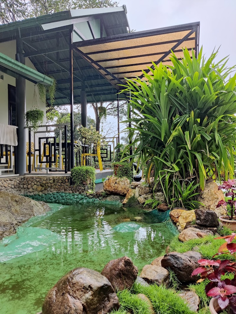 Padinjarathara - Padinjarathara, Keralam, India