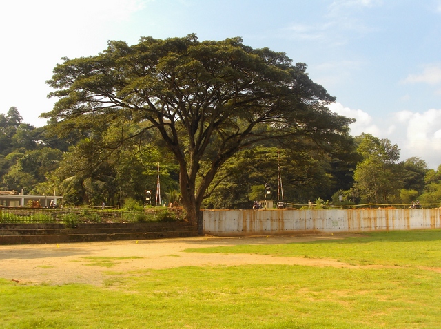 Peradeniya Road - Peradeniya Road, Peradeniya Rd, Kandy, Sri Lanka