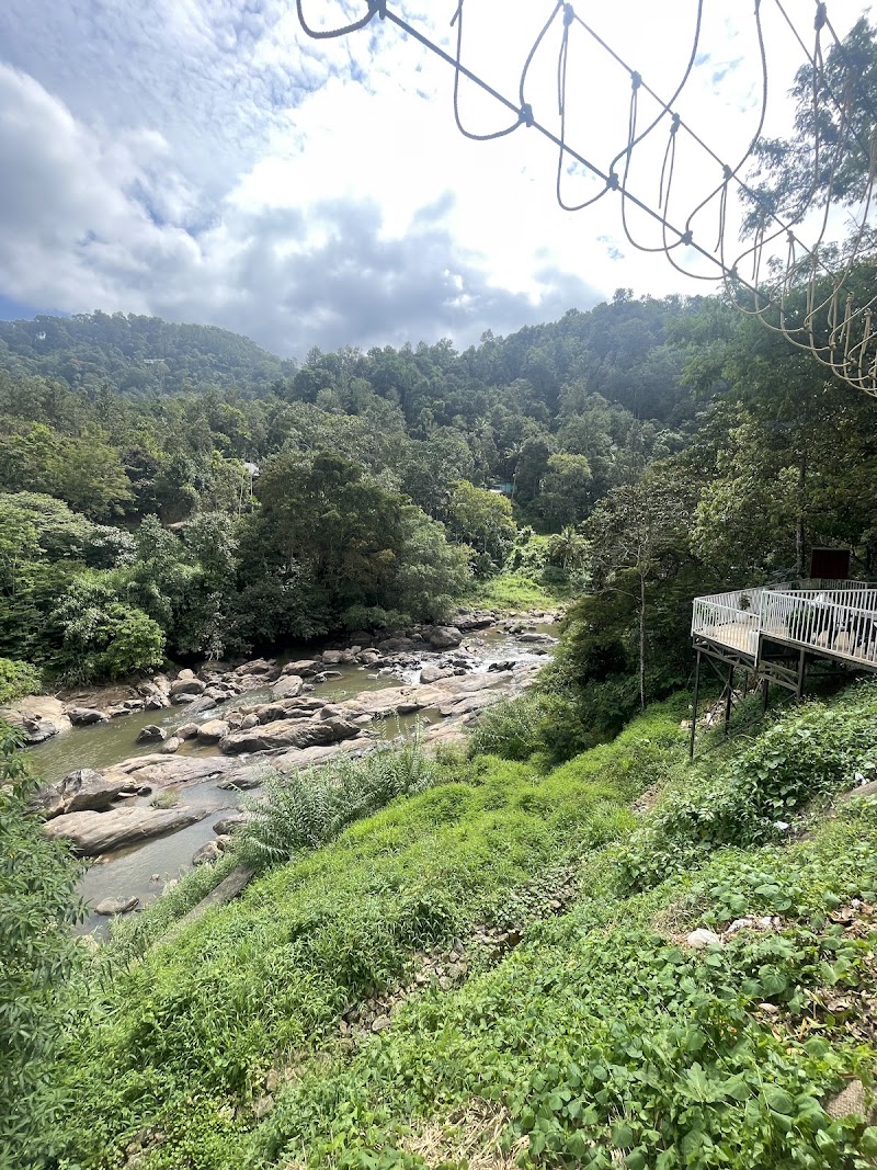 Eden Woods Resorts & Spa - Eden Woods Resorts & Spa Muthirapuzhayar Rd, Chithirapuram, Munnar, Kerala 685565, India