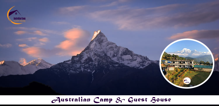 Australian Camp Guest House & Restaurant - Australian Camp Guest House & Restaurant Australian Base Camp Annapurna-06RM Thula kharka lumle अष्ट्रेलियाली शिविर, Australian Camp, धम्पुस 33700, Nepal