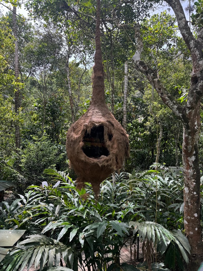 The Spice Route Ayurvedic & Spices Garden - The Spice Route Ayurvedic & Spices Garden Amaravathi, Kumily, Kerala 685509, India
