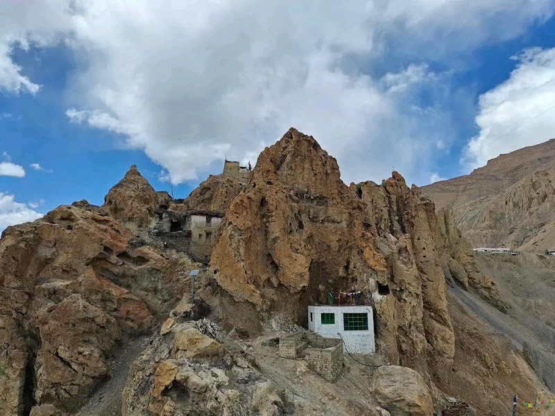 Dhankar view point