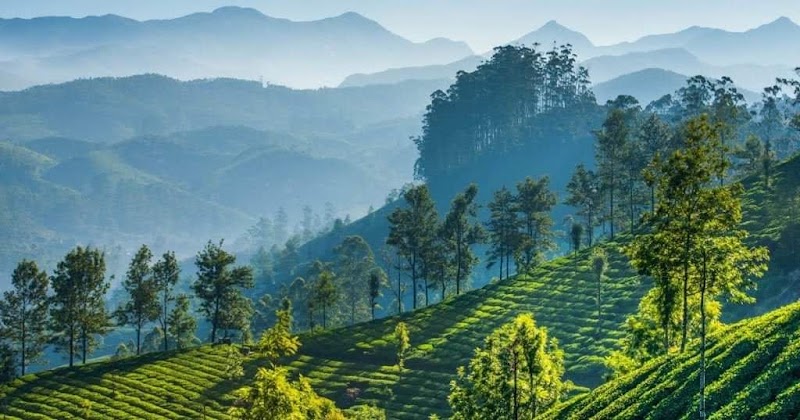 Nilgiri Mountains - Nilgiri Mountains Nilgiri Mountains, Jagathala, Tamil Nadu 643202