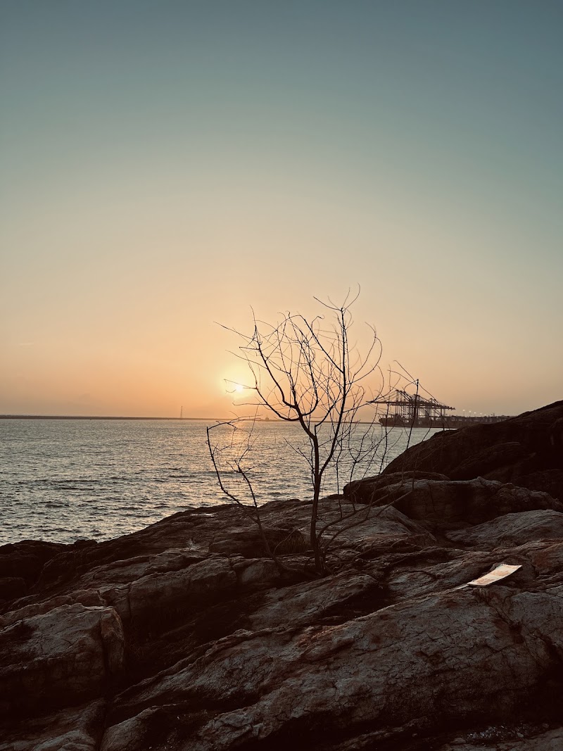 Niraamaya wellness - Niraamaya wellness 92F8+FCG, Pulinkudi Rd, Vizhinjam, Kovalam, Kerala 695521, India