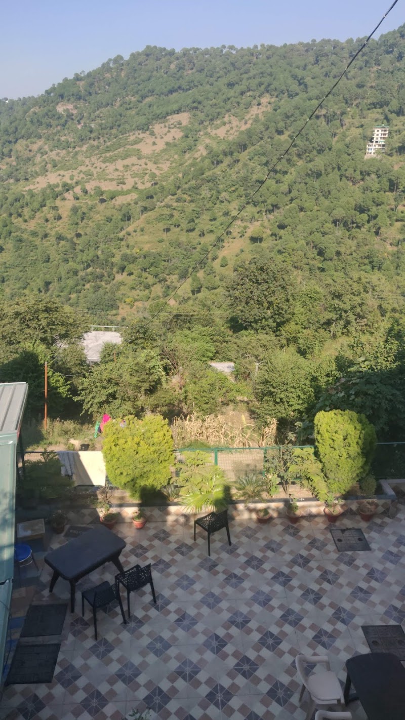 The willows cottage kasauli - The willows cottage kasauli Mohan mekin road . Garkhal, near Nature view cafe and food, Kasauli, Himachal Pradesh 173201, India