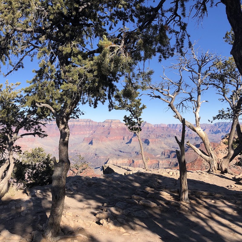 Grandview Point - Grandview Point, Grand Canyon Village, AZ 86023, USA