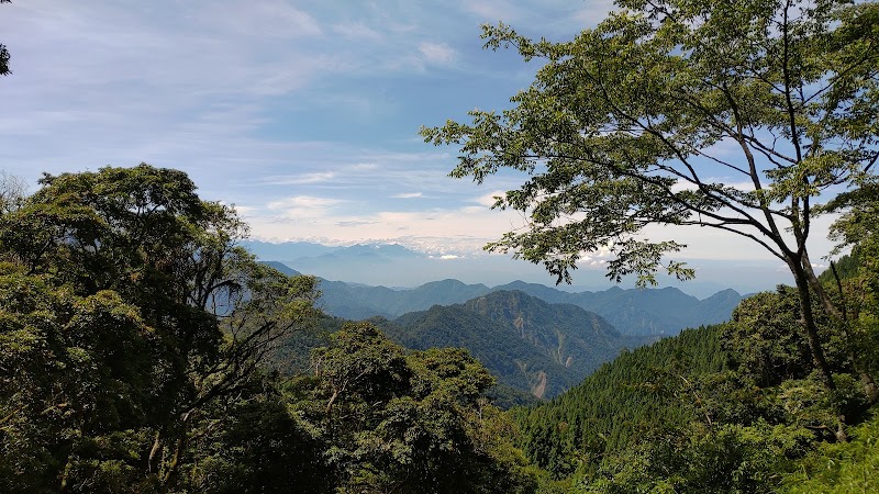 Xueshan Giant Tree - Xueshan Giant Tree, Bo'ai Village, Heping District, Taichung City, Taiwan 424