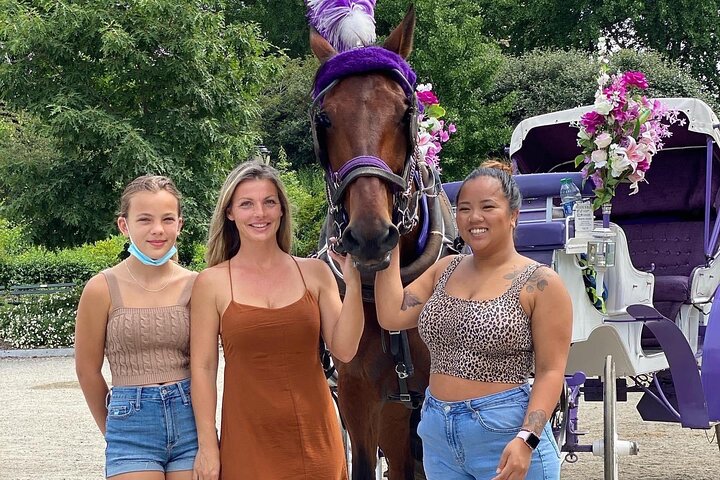NYC Central Park Horse Carriage Rides since 1858