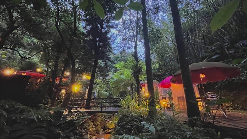 Longya Tea House - Longya Tea House, No. 24之2號, Lane 40, Section 3, Zhinan Rd, Zhinan Village, Wenshan District, Taipei City, Taiwan 116