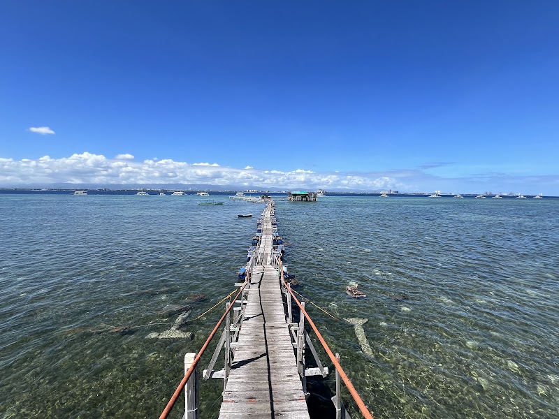 San Vicente Marine Sanctuary - San Vicente Marine Sanctuary, 62XF+C4Q, Lapu-Lapu, Philippines