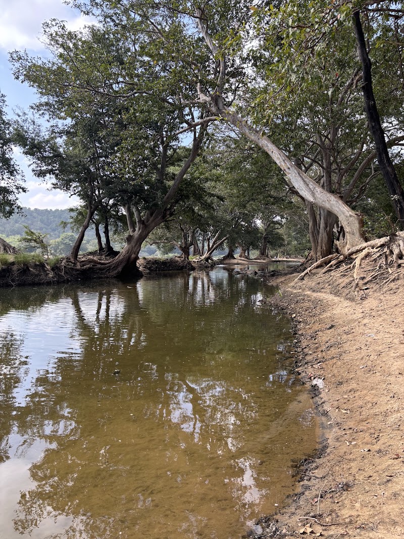 Muthathi - Muthathi, 8857+8M6, Basavana Betta Forest, Karnataka 571421, India