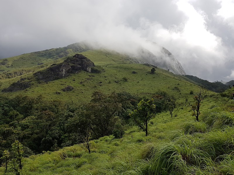 Chirapullu Peak - Chirapullu Peak PW53+MG6, Kerala 670731, India